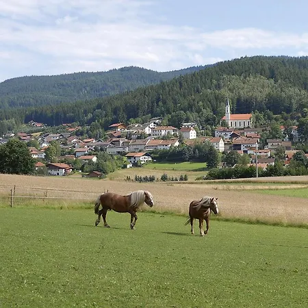 Weiß Hohenwarth